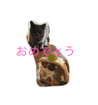 フィガロくん（個別スタンプ：14）