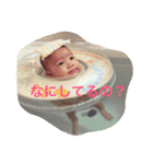 はるとタンプ（個別スタンプ：1）