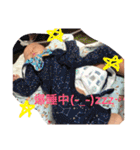 はるとタンプ（個別スタンプ：4）