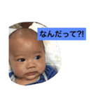 はるとタンプ（個別スタンプ：26）