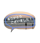 敬語♡先輩、年上の方に使えます！（個別スタンプ：5）