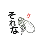 寄生虫で返信（個別スタンプ：1）