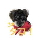 ノエベーの1日（個別スタンプ：1）