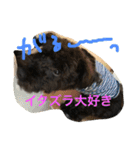 ノエベーの1日（個別スタンプ：3）