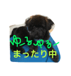 ノエベーの1日（個別スタンプ：4）