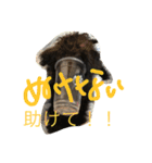 ノエベーの1日（個別スタンプ：7）