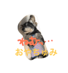 ノエベーの1日（個別スタンプ：8）