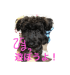 ノエベーの1日（個別スタンプ：9）