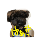 ノエベーの1日（個別スタンプ：11）