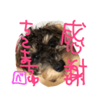 ノエベーの1日（個別スタンプ：12）