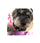 ノエベーの1日（個別スタンプ：13）