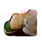 おかぴのかわいい仲間たち（個別スタンプ：3）