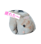 おかぴのかわいい仲間たち（個別スタンプ：7）