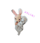 おかぴのかわいい仲間たち（個別スタンプ：8）