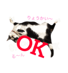 アレイ さん（個別スタンプ：2）