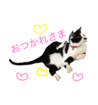 アレイ さん（個別スタンプ：3）
