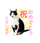 アレイ さん（個別スタンプ：6）