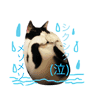 アレイ さん（個別スタンプ：7）