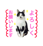 アレイ さん（個別スタンプ：10）