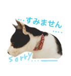 アレイ さん（個別スタンプ：11）