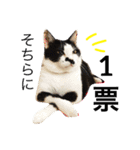 アレイ さん（個別スタンプ：16）