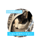 アレイ さん（個別スタンプ：21）