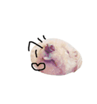 かわいいビスコちゃん（個別スタンプ：1）