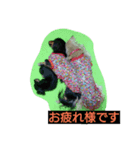 ミニチュアダックス大好き（個別スタンプ：5）