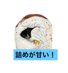 Maro9.2（個別スタンプ：29）