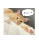 ちゅけとはる（個別スタンプ：18）