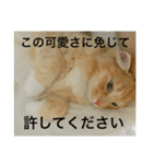 ちゅけとはる（個別スタンプ：23）