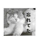 ちゅけとはる（個別スタンプ：24）