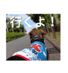 beagle's daily（個別スタンプ：8）