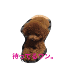 エシレ（個別スタンプ：3）