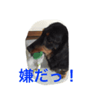 エシレ（個別スタンプ：4）
