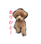 エシレ（個別スタンプ：6）