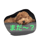 エシレ（個別スタンプ：9）