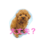 エシレ（個別スタンプ：10）