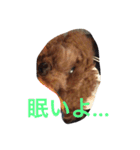 エシレ（個別スタンプ：12）