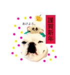 フレブル大福ちゃんスタンプ①ちょい冬ver.（個別スタンプ：23）