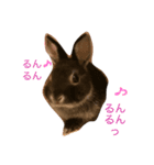 うた家族（個別スタンプ：1）