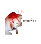 Hachiko＆Family（個別スタンプ：8）