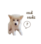 Hachiko＆Family（個別スタンプ：10）