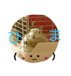 おてんばうさぎのシフォン（個別スタンプ：11）