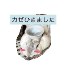 おてんばうさぎのシフォン（個別スタンプ：25）