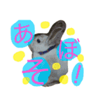 おてんばうさぎのシフォン（個別スタンプ：28）