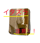 おてんばうさぎのシフォン（個別スタンプ：31）