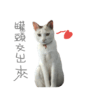 初一（個別スタンプ：3）