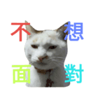 初一（個別スタンプ：6）