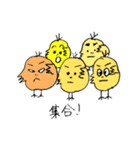 鼻毛ピヨ其の二（個別スタンプ：9）